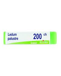 Ledum palustre 200 ch globuli boiron | Miglior prezzo.