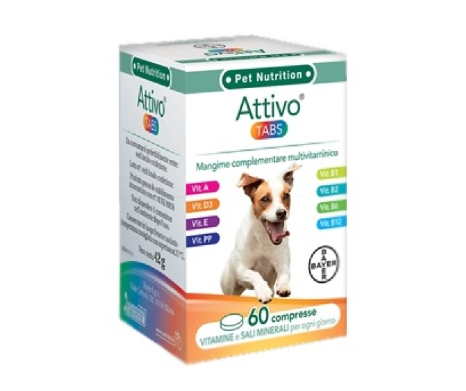 Attivo tabs 60 compresse