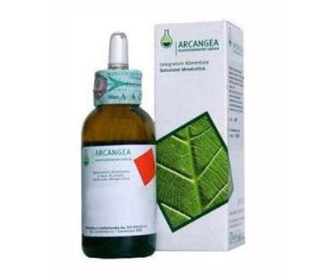 Ficus carica gemme circulatum 50ml