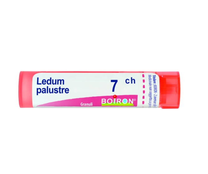 Ledum palustre 7 ch granuli boiron
