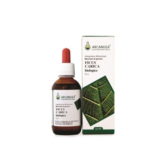 Ficus Carica Bio 33 Circulatum Gemmoderivato 50 ml