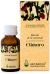 Climaro Arcangea Oli Essenziali Naso e Gola 10 ml | Miscela di Oli Essenziali per Suffumigi, Frizioni e Come Integratore Alimentare.