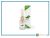 Helan casa muschio bianco bastoncini profumati 100ml