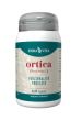 Ortica Erba Vita Integratore Prostata 60 Capsule | Integratore per il Benessere dele Vie Urinarie.
