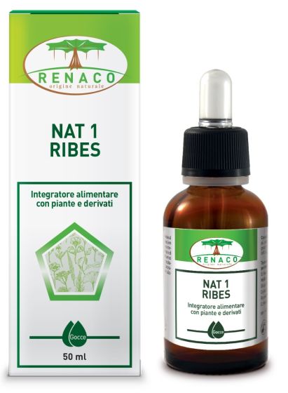 NAT 1 Ribes Gocce Renaco 50 ml |Integratore a base di Gemmo Derivato di Ribes Nigrum e Nattochinasi.