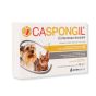 caspongil cane e gatto
