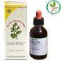 Herboplanet hs102 bardana compositum 100ml