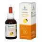 Propolis Bio Arcangea Tintura Madre Antibatterica per la Gola 30 ml.