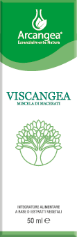 viscangea arcangea