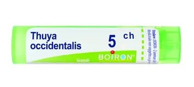 Thuya Occidentalis 5CH Granuli Boiron | Omeopatia.