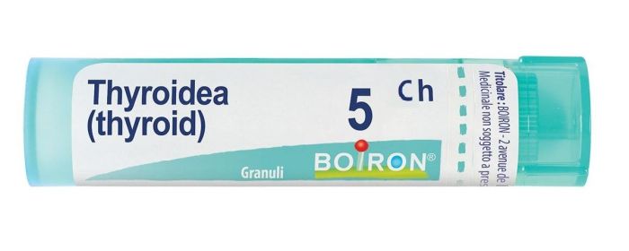 Thyroidea 5ch gr