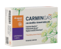 Carmin gas plus 45 capsule