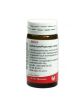 Cichorium pancreas globuli wala 20g