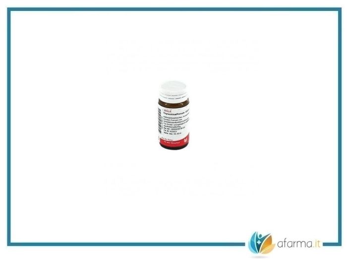 Wala thyreoidea ferrum 20g globuli