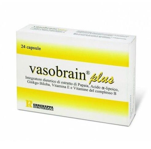 Vasobrain plus 24 capsule