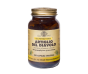Artiglio diavolo 100 capsule