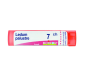 Ledum palustre 7 ch granuli boiron