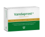 Vandaprost 24 capsule vanda